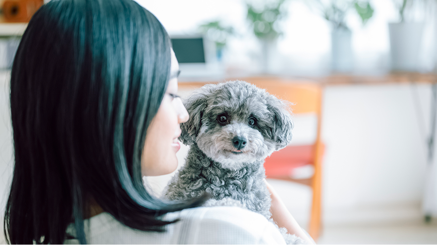 一人暮らし×愛犬