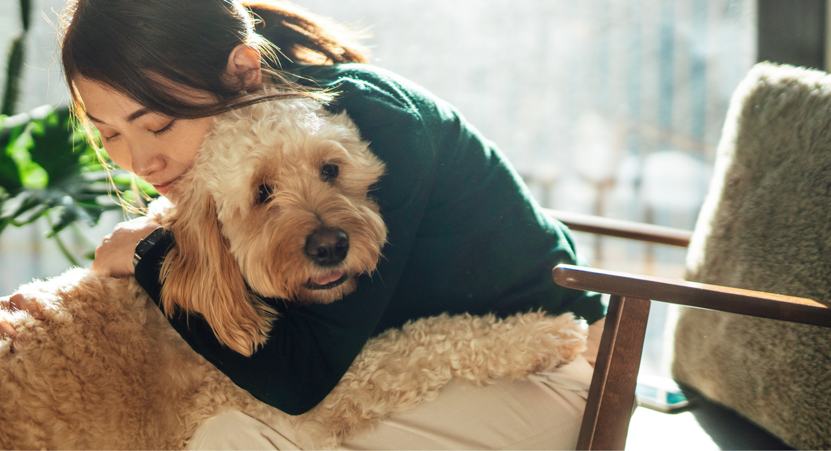 メインビジュアル